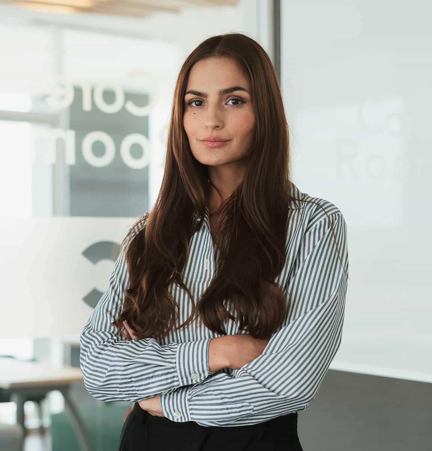 ERPNext development dashboard showing project progress and visibility across development stages